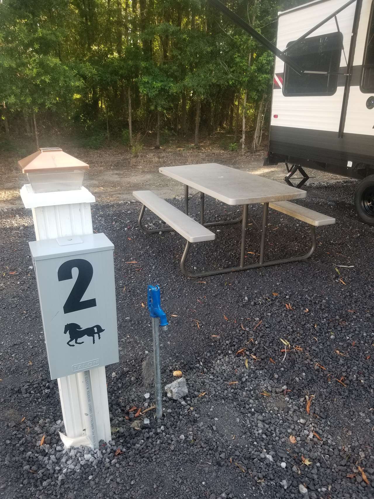 Picture of the site