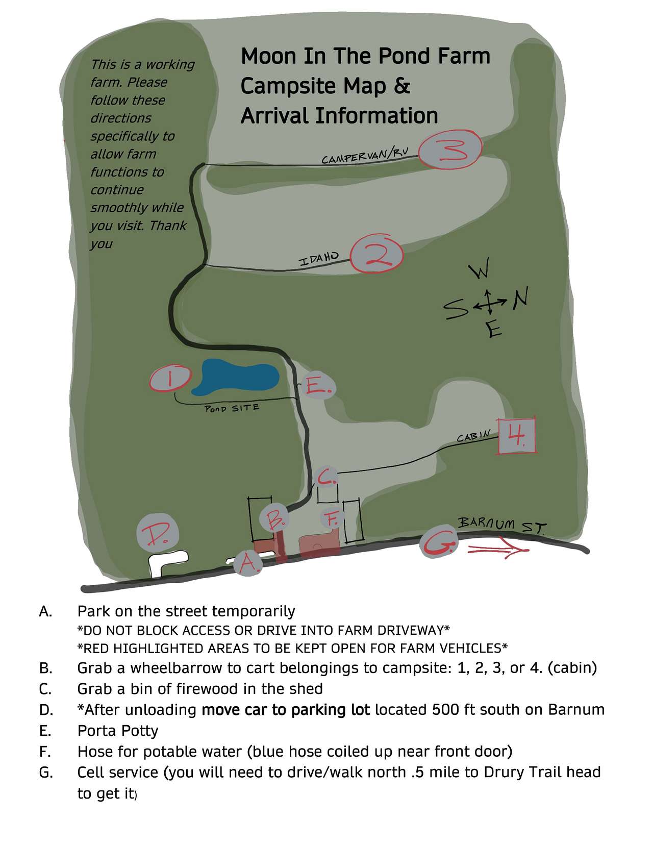 Picture of the site