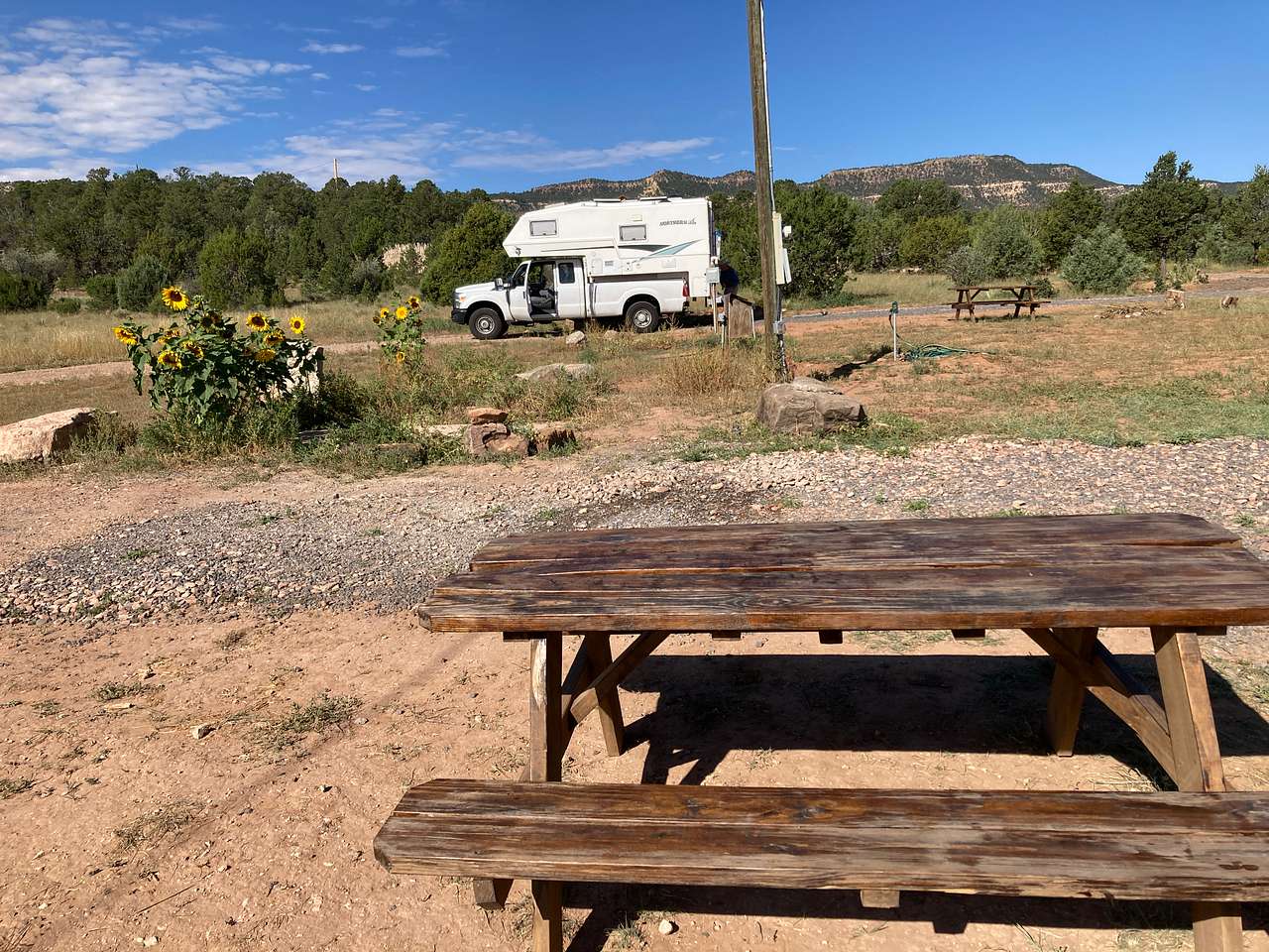 Picture of the site