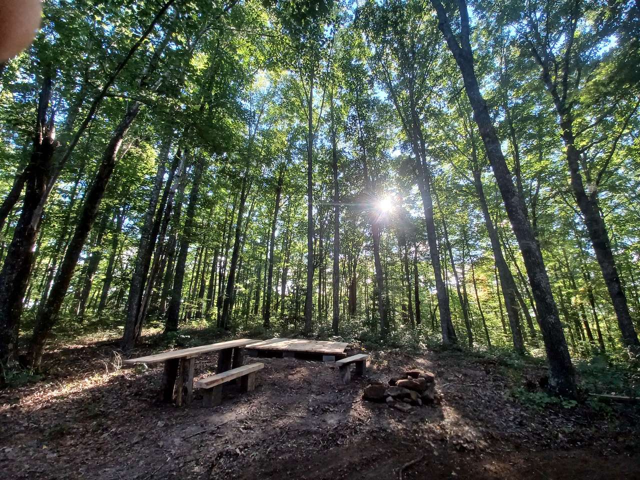 Picture of the site