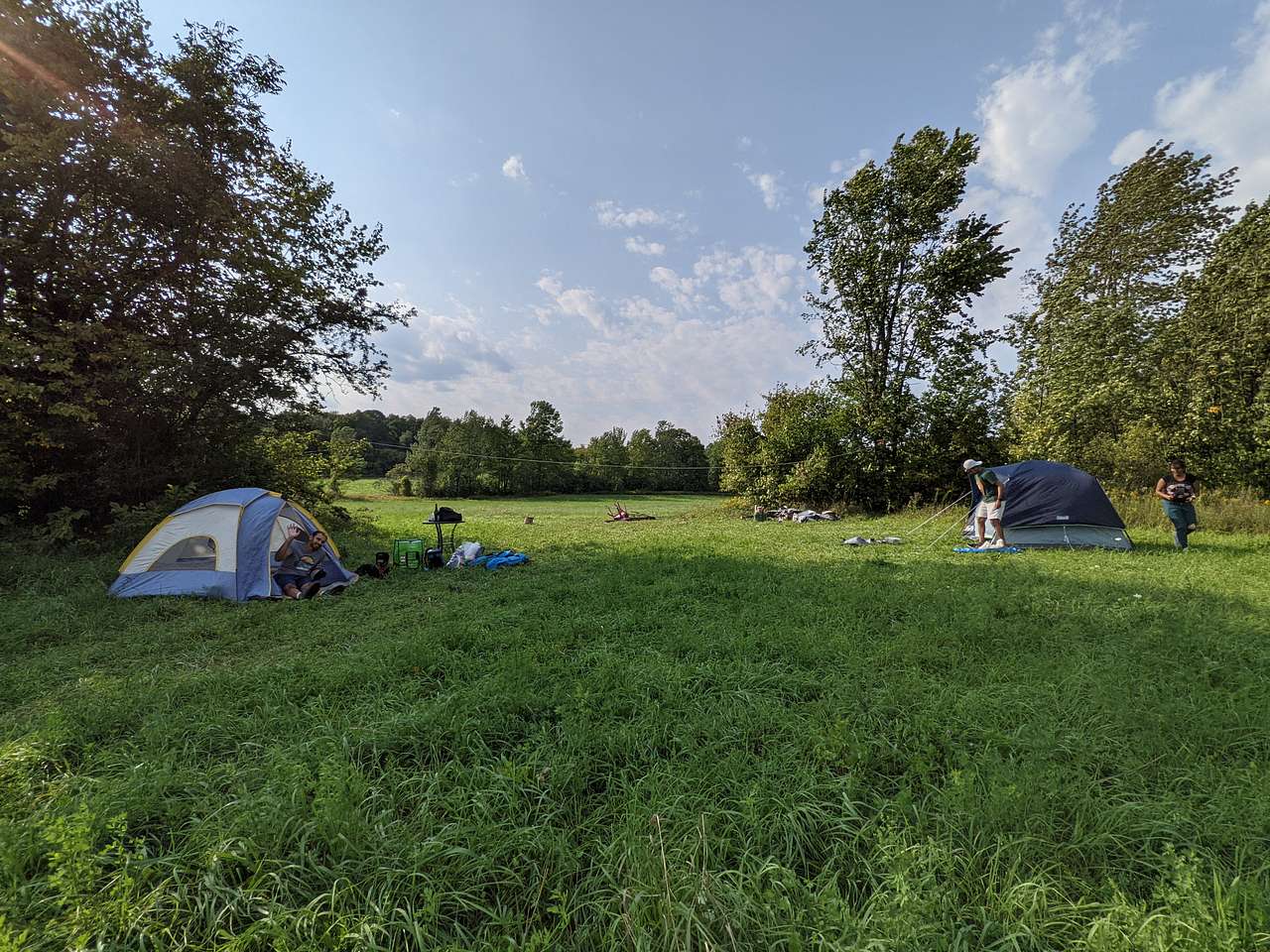 Picture of the site