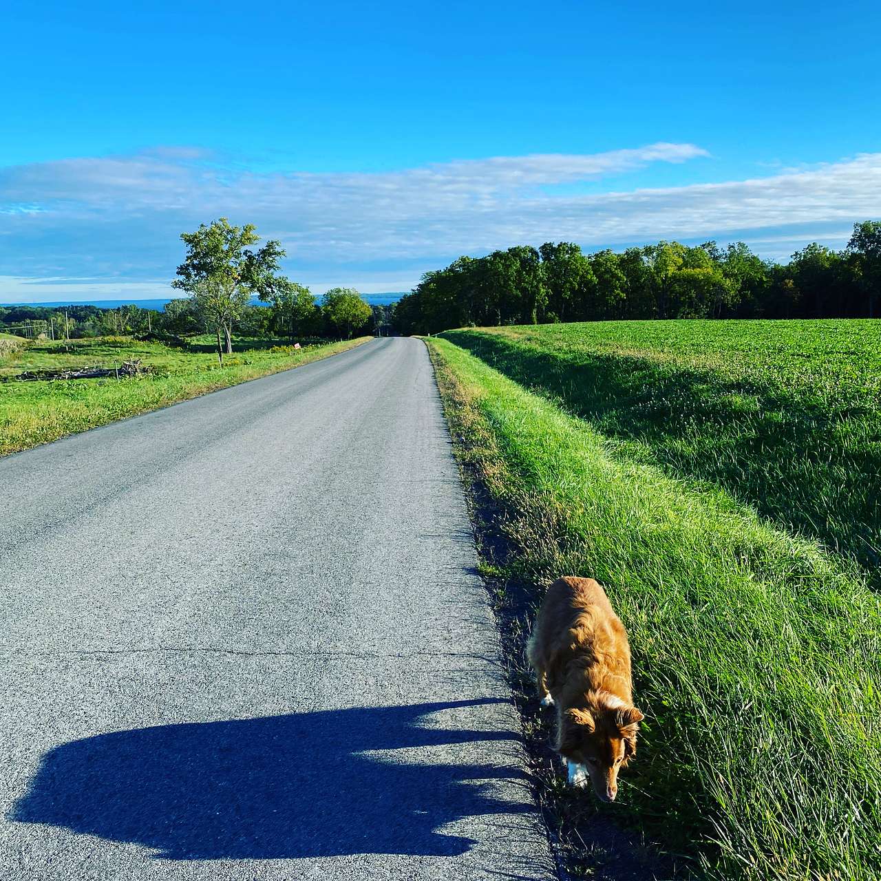 Road leading to Al’s Camp