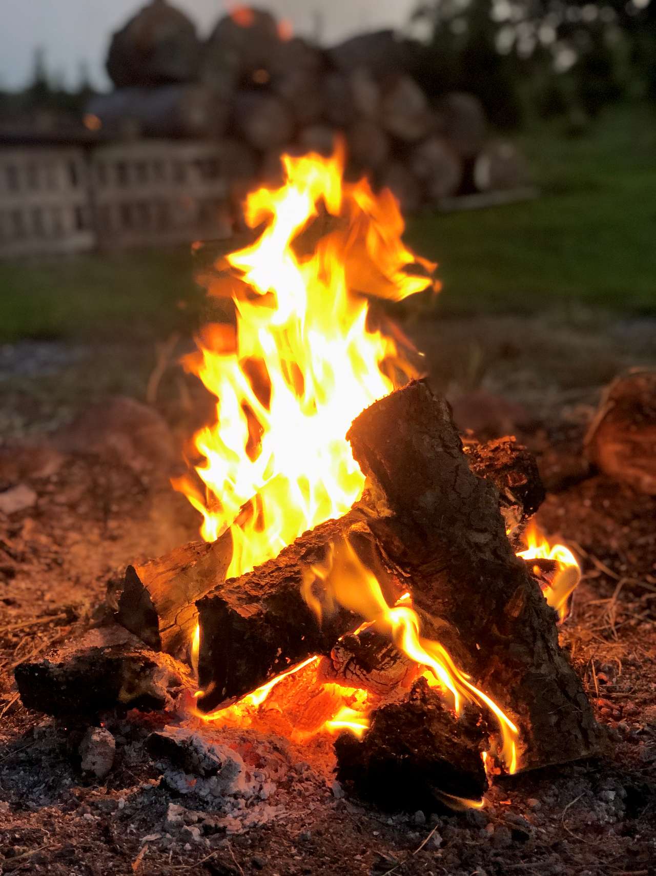 View amenities photos of Christmas Tree Farm with Views
