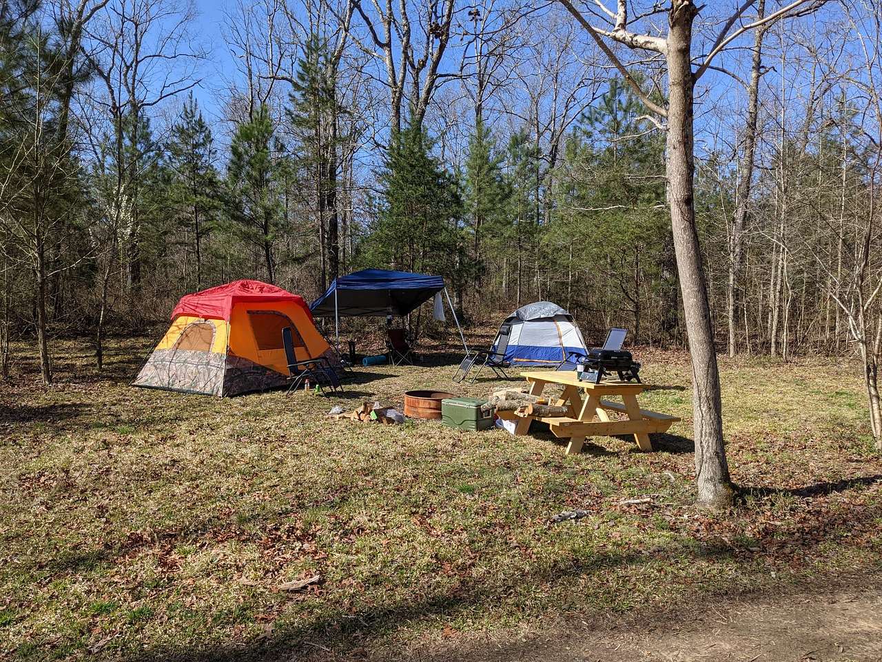 Picture of the site