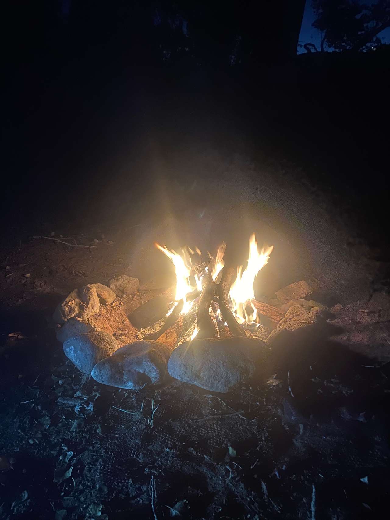 View amenities photos of Hawks Hideaway Camping, LLC