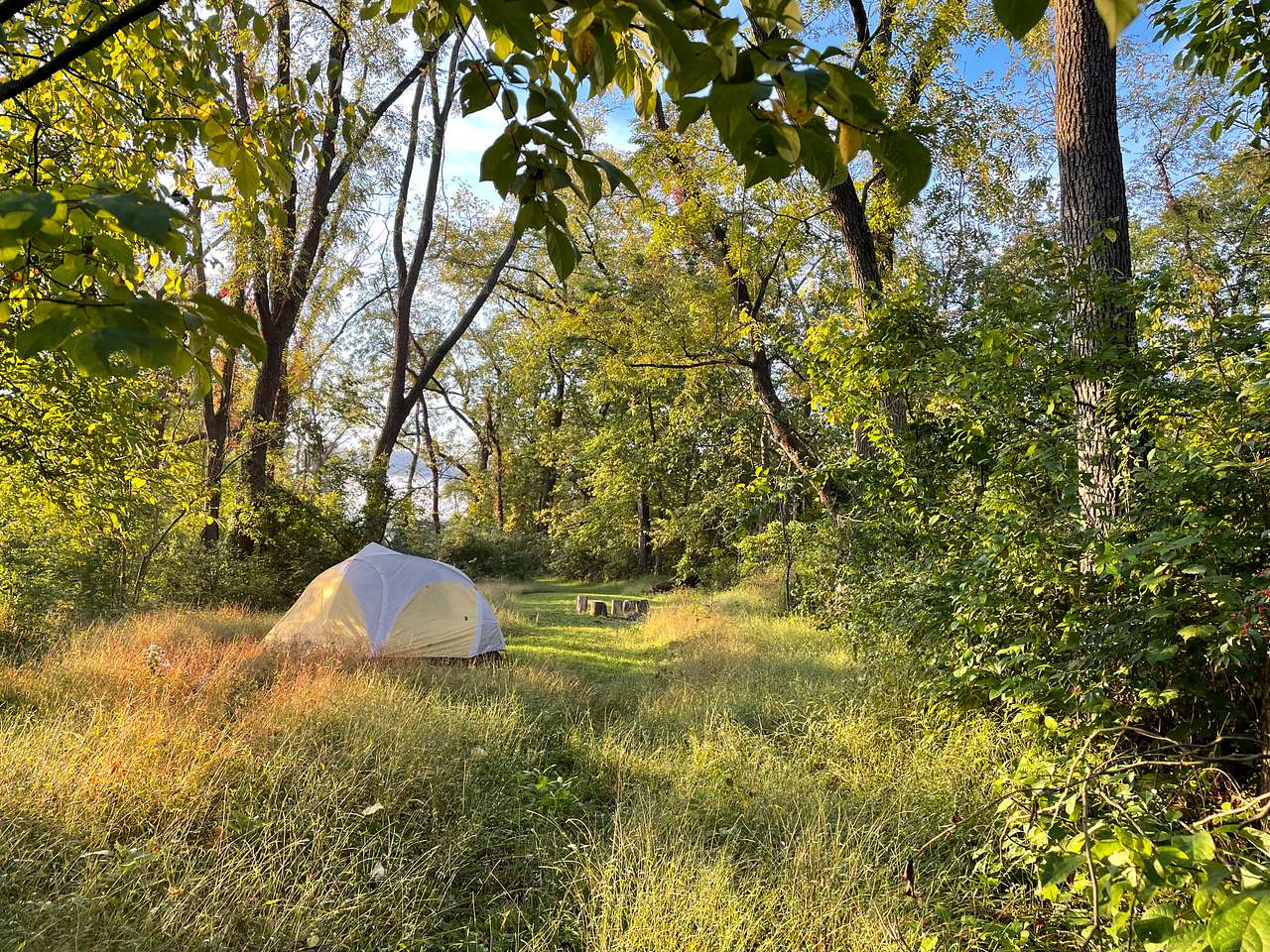 Picture of the site