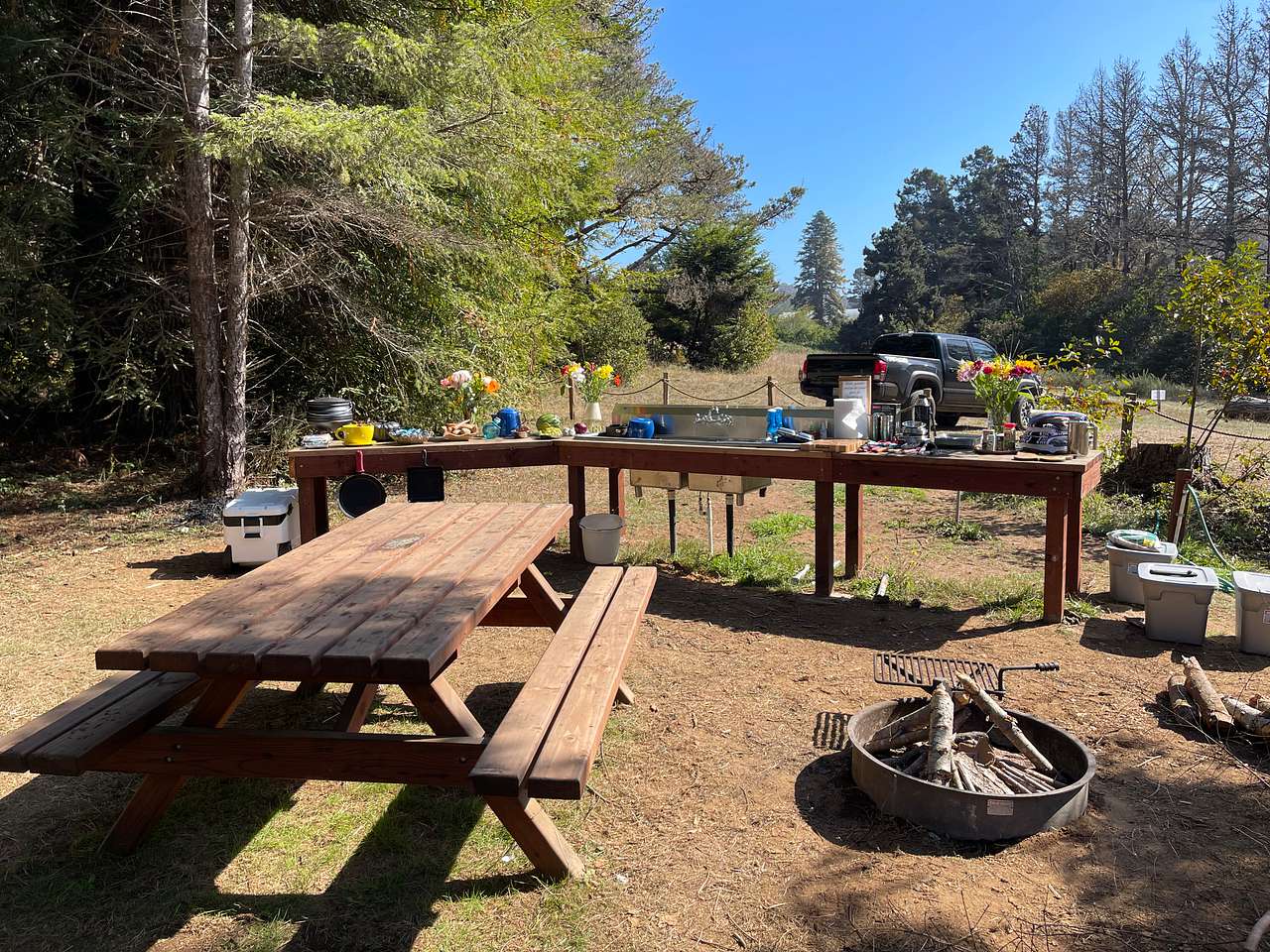 Picture of the site