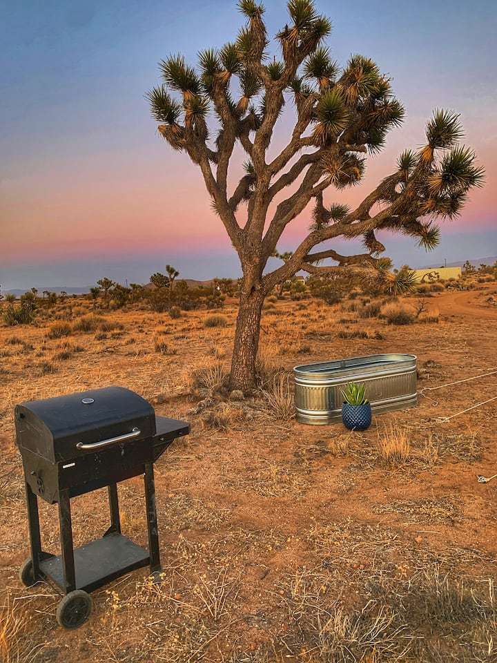 View amenities photos of Songbird at Joshua Tree