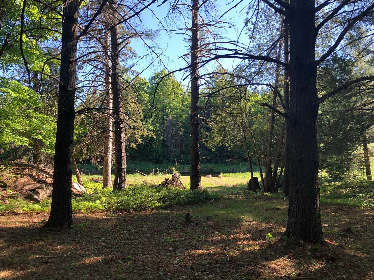 Picture of the site