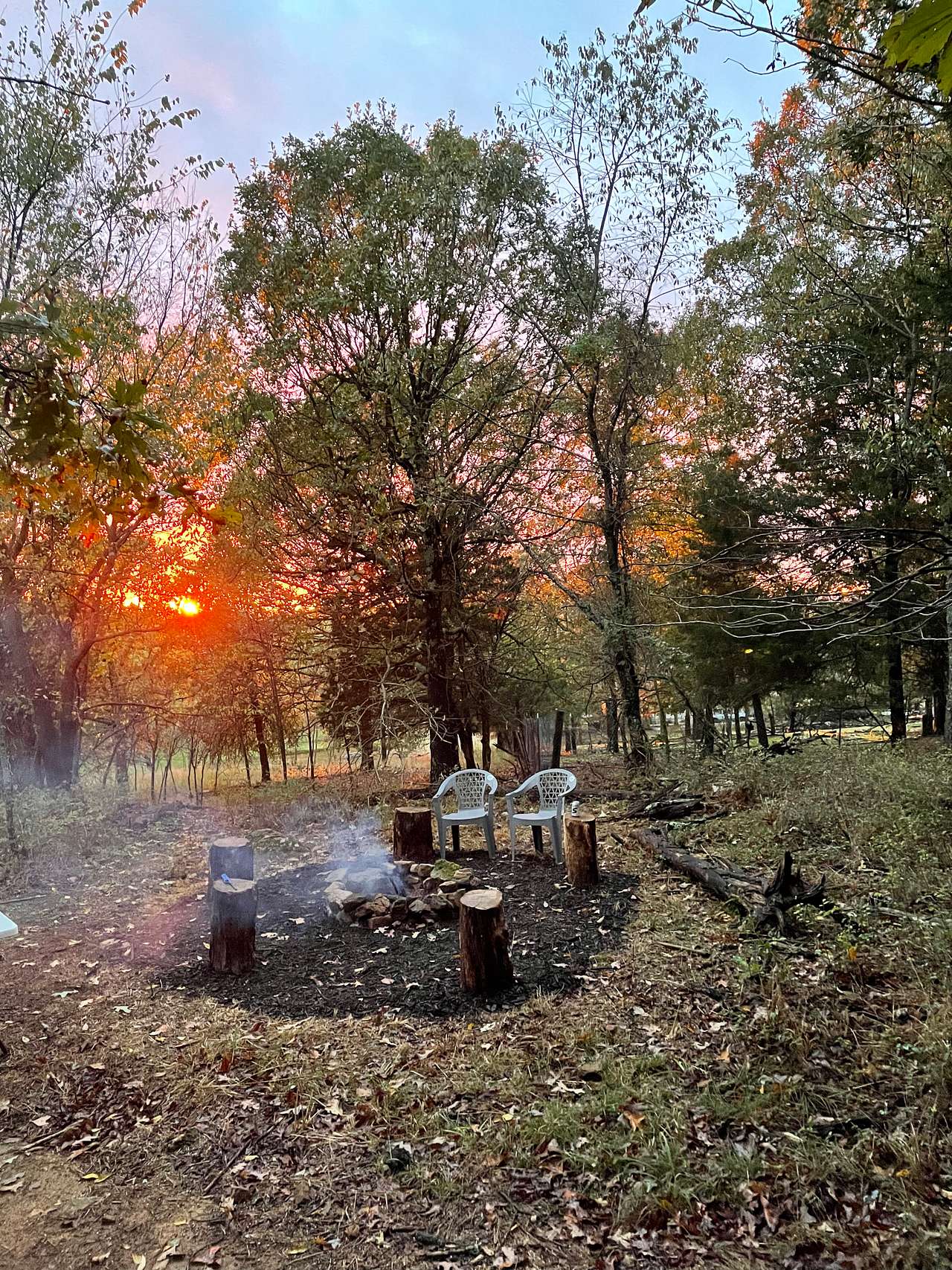 Picture of the site