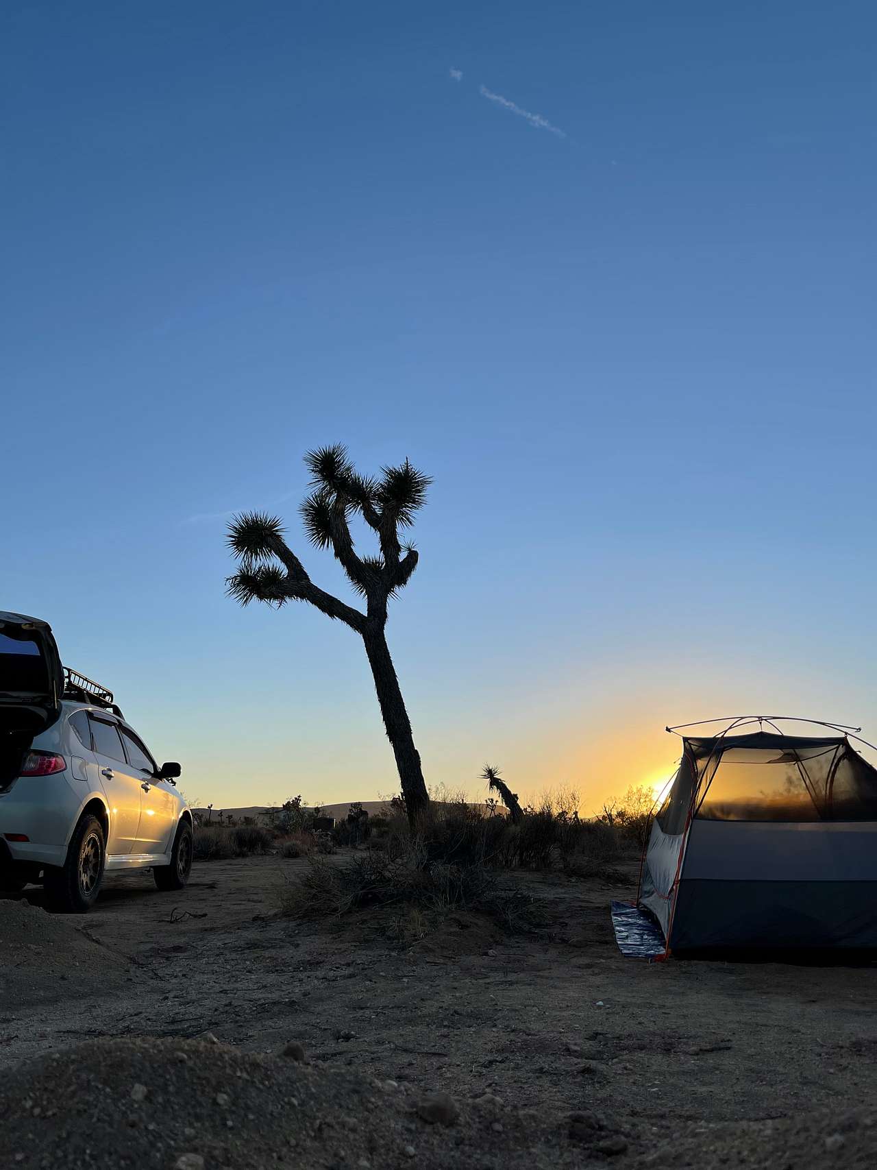 View rigs & rvs photos of Songbird at Joshua Tree