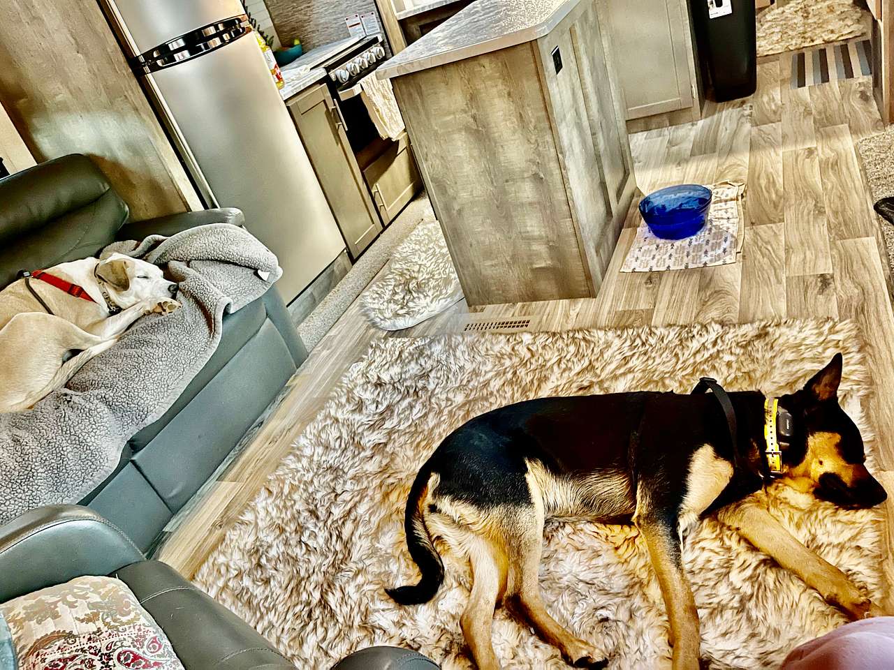 View pets photos of Lakefront get away