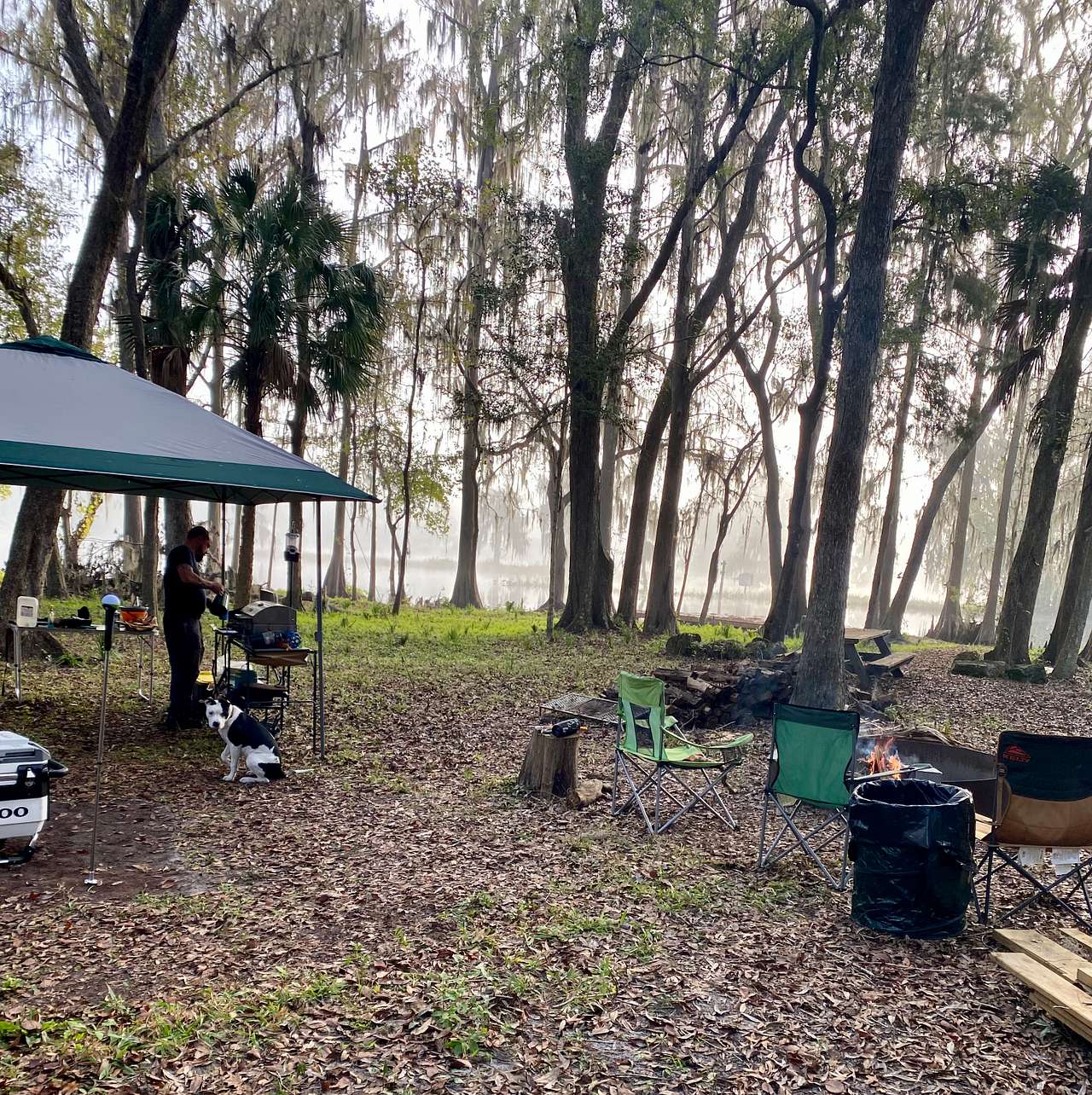 Picture of the site