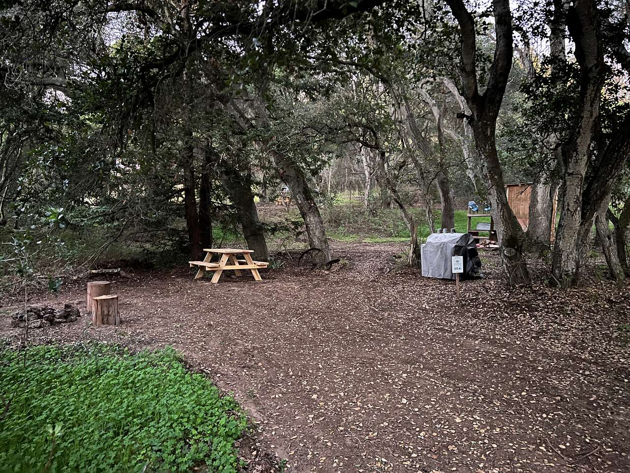Picture of the site