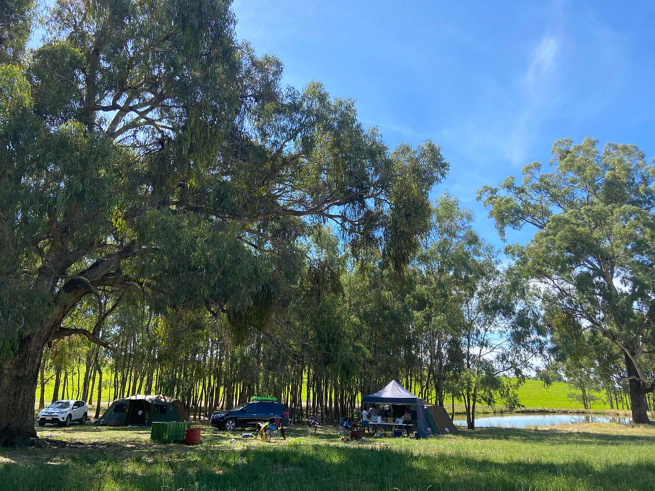 Picture of the site