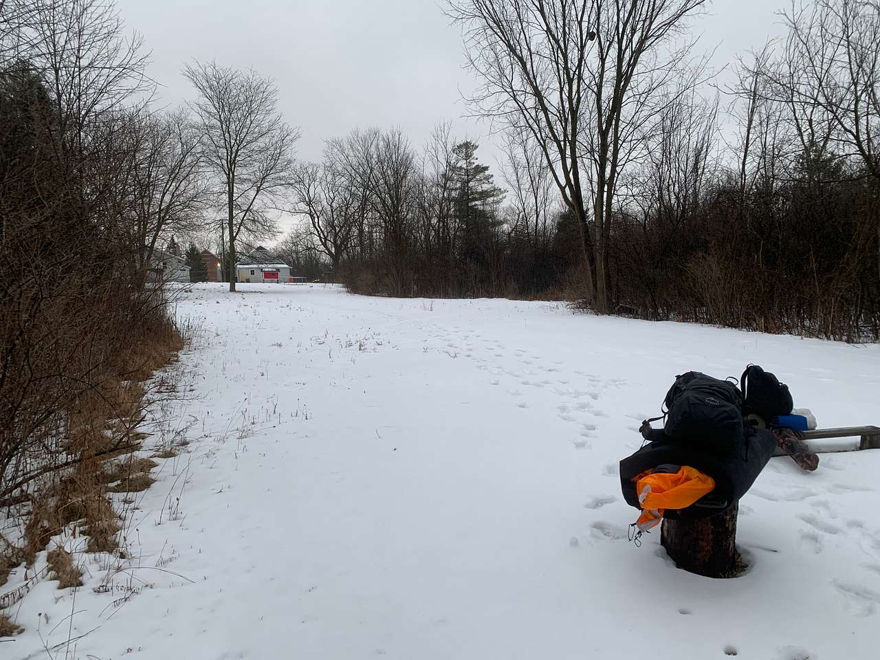 Picture of the site