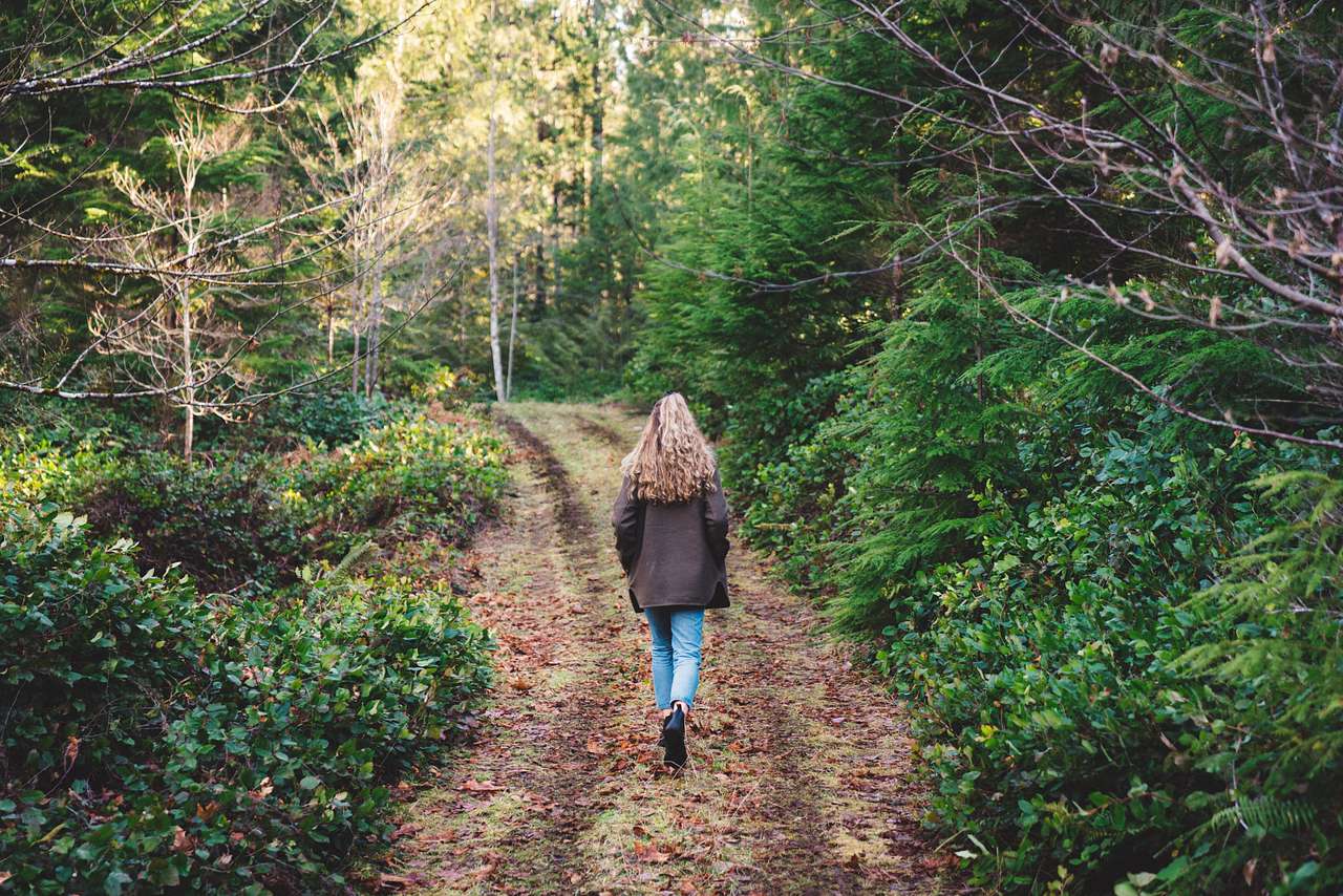 A variety of paths and roads throughout the property allow options to stretch one's legs. 
