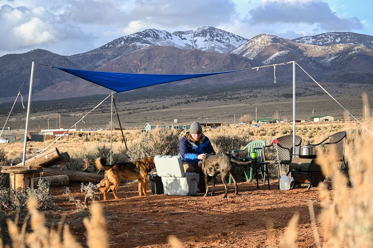 Picture of the site