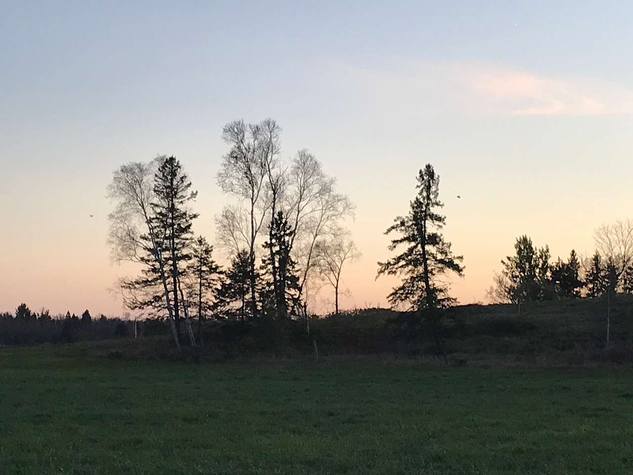 View more photos of La Belle Vie Farm