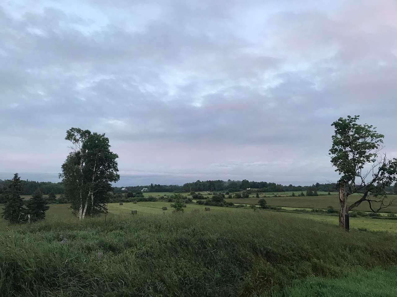View more photos of La Belle Vie Farm