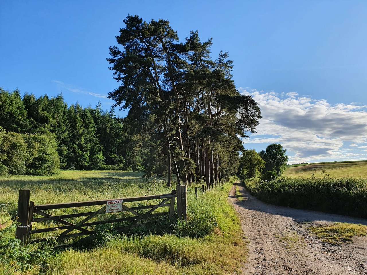 Picture of the site