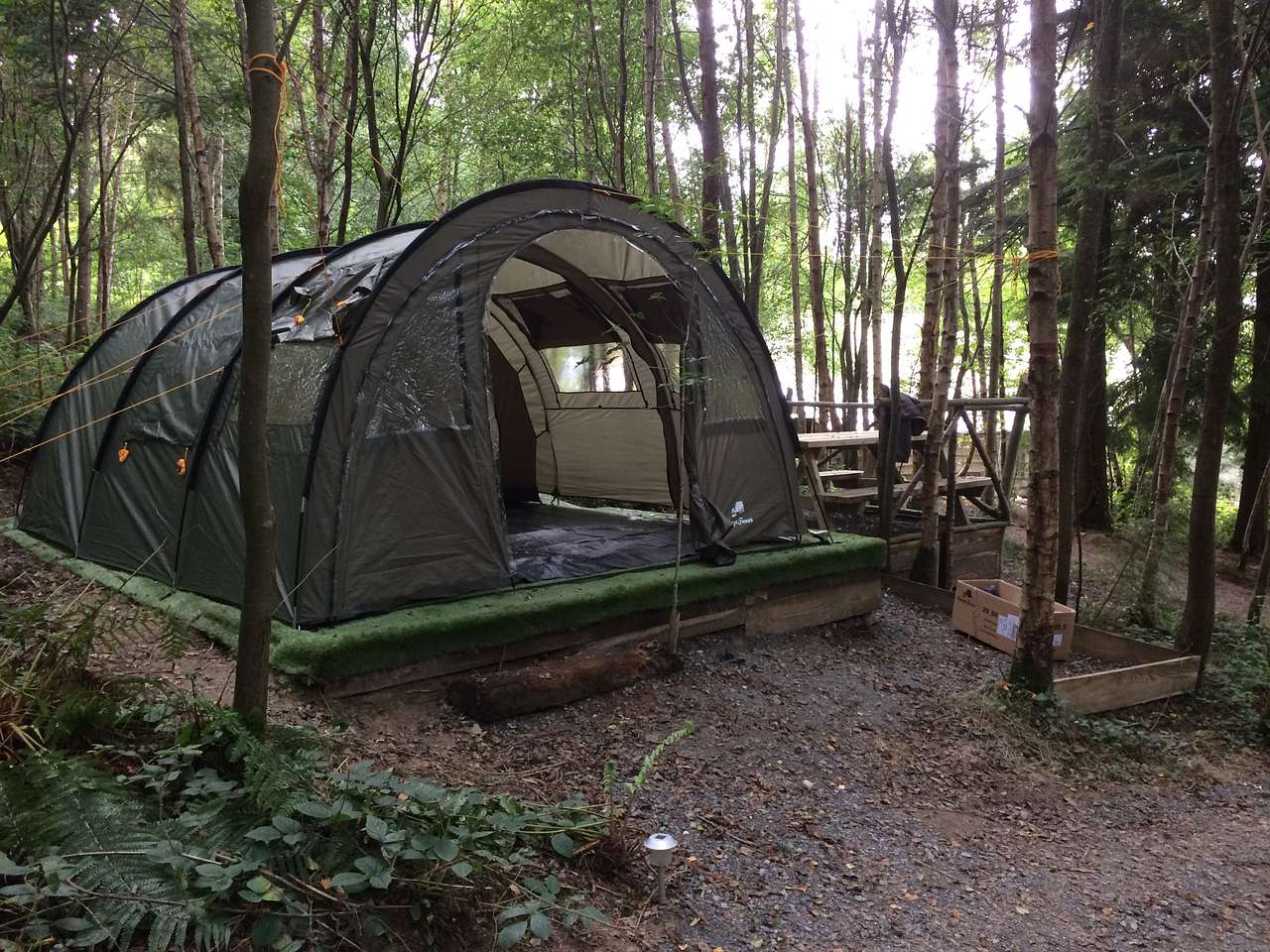 Picture of the site