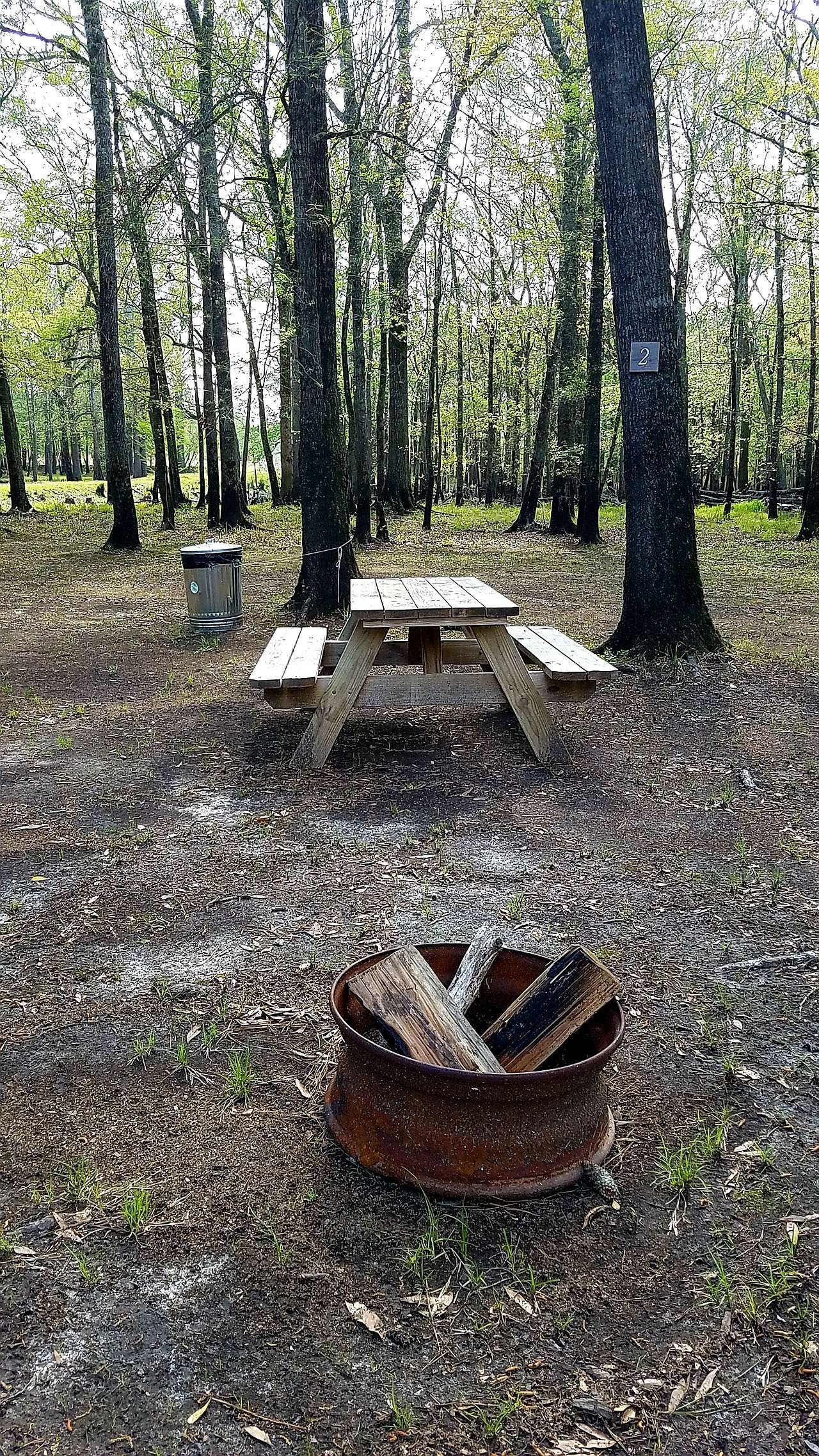Picture of the site