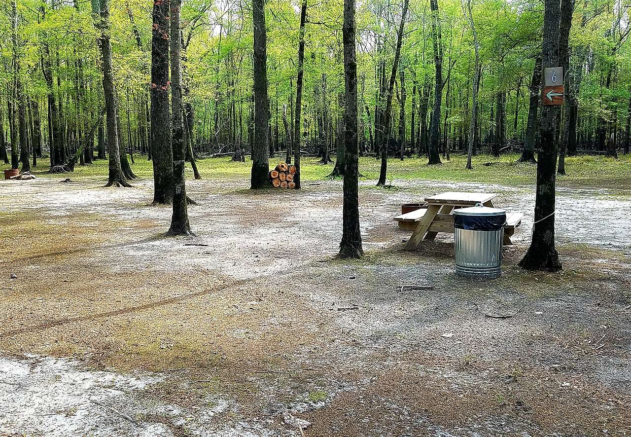 Picture of the site