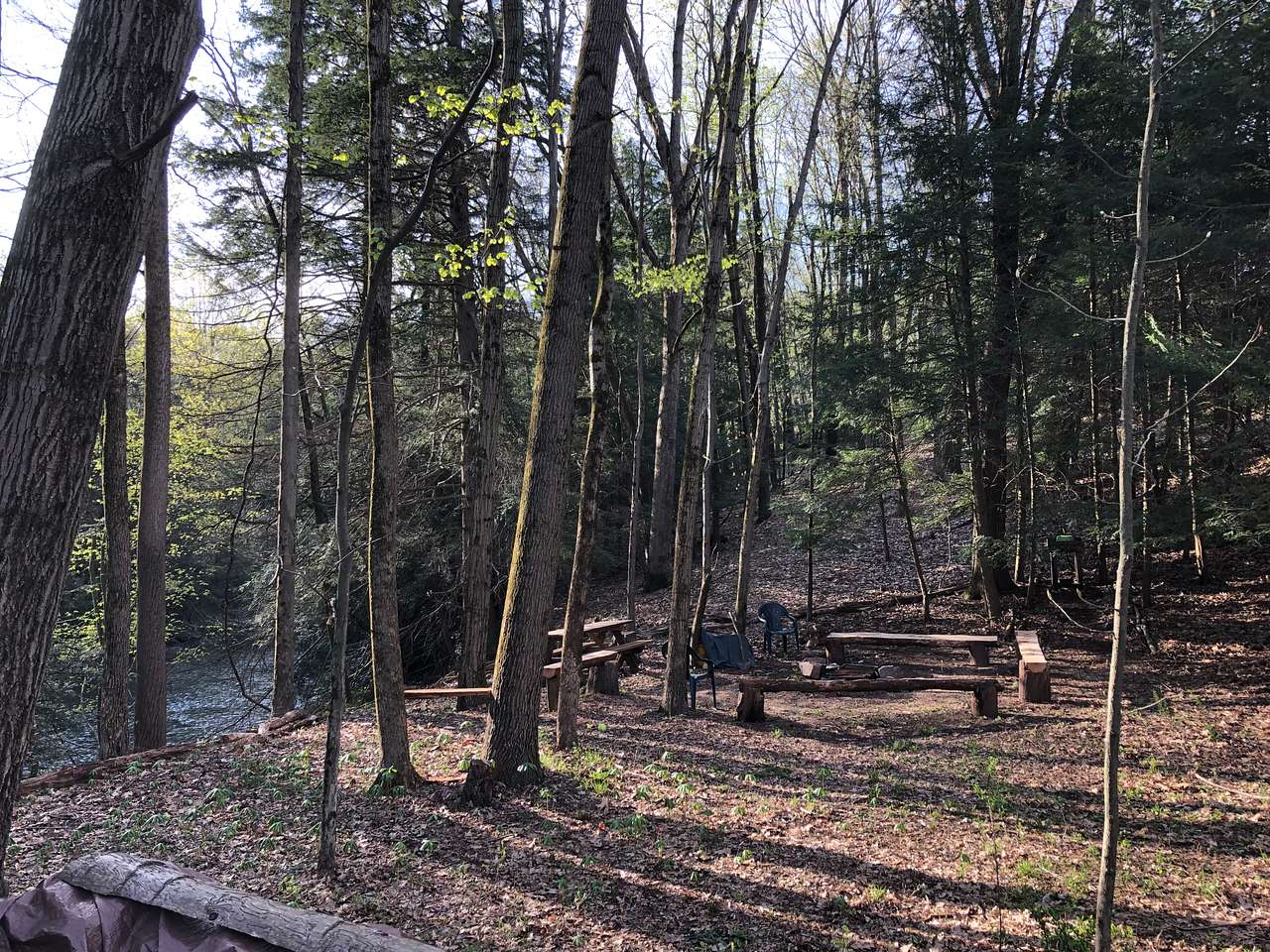Picture of the site