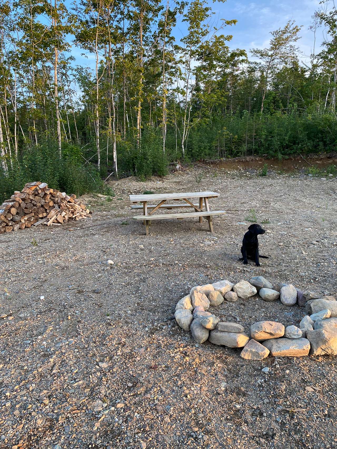 Picture of the site