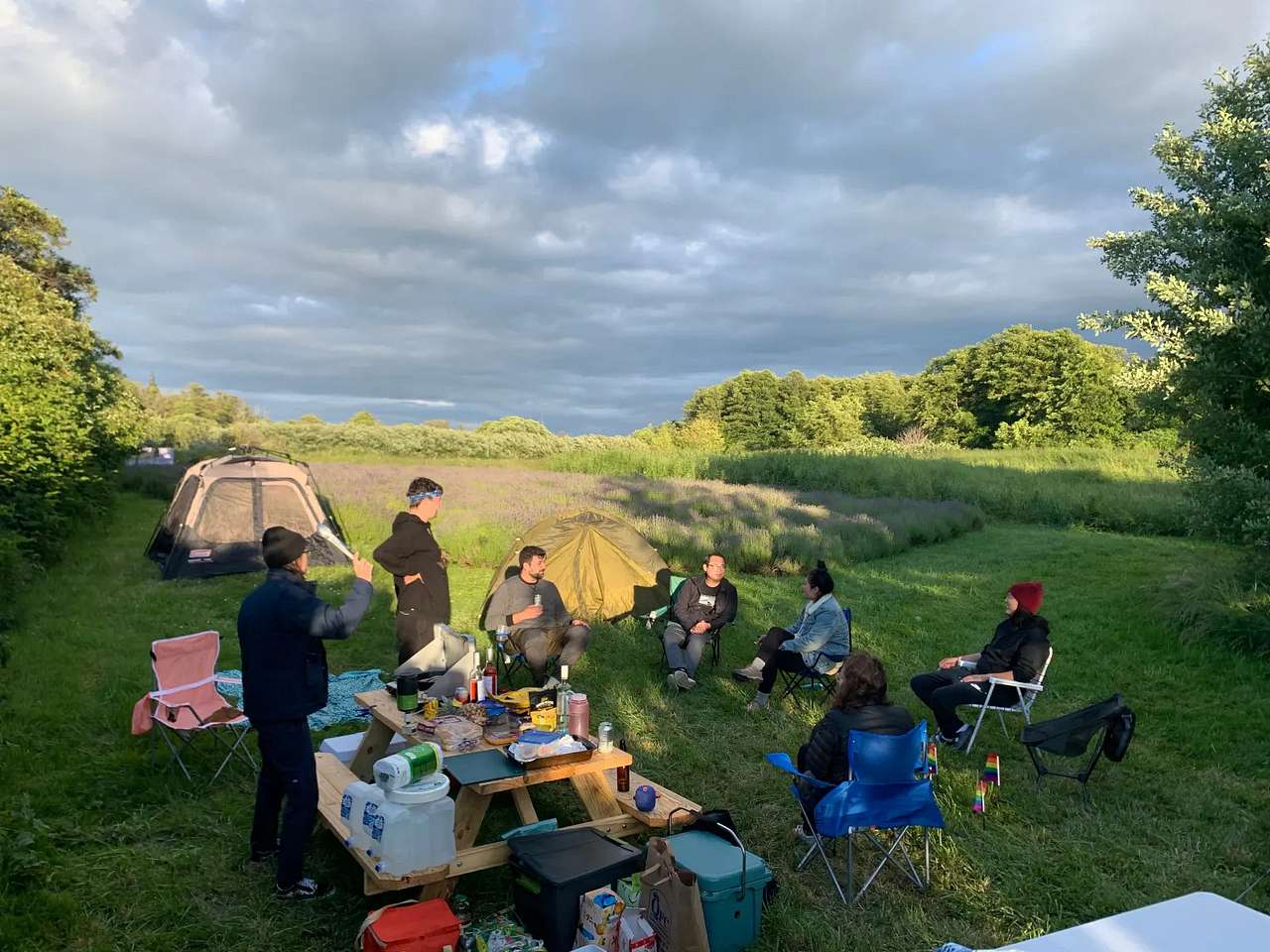 Picture of the site