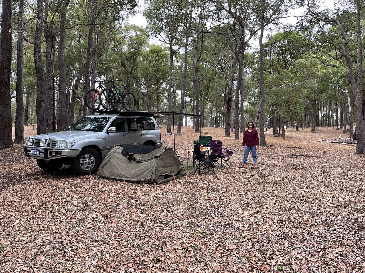 Picture of the site