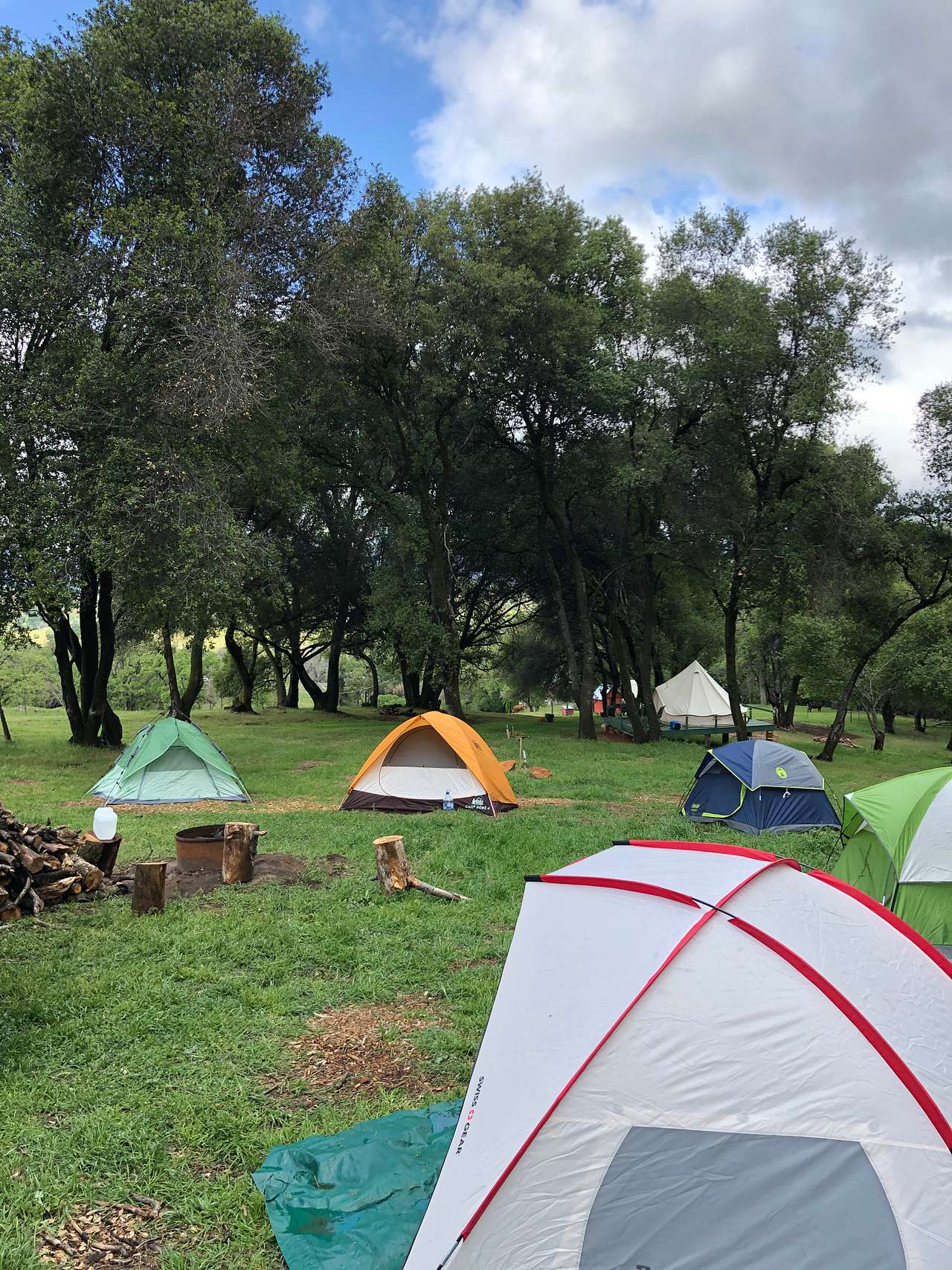 Picture of the site