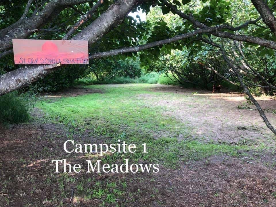Picture of the site