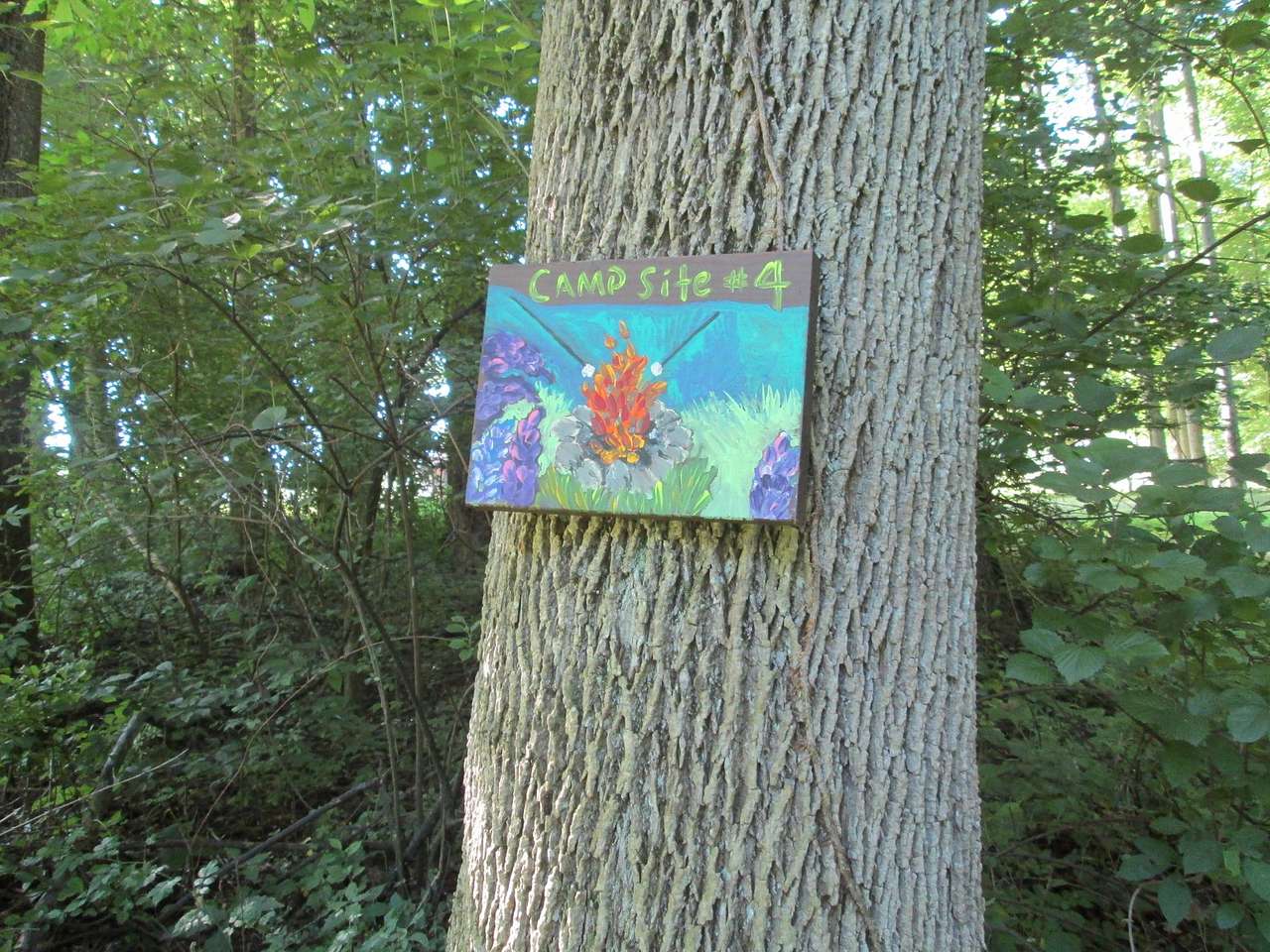 Picture of the site