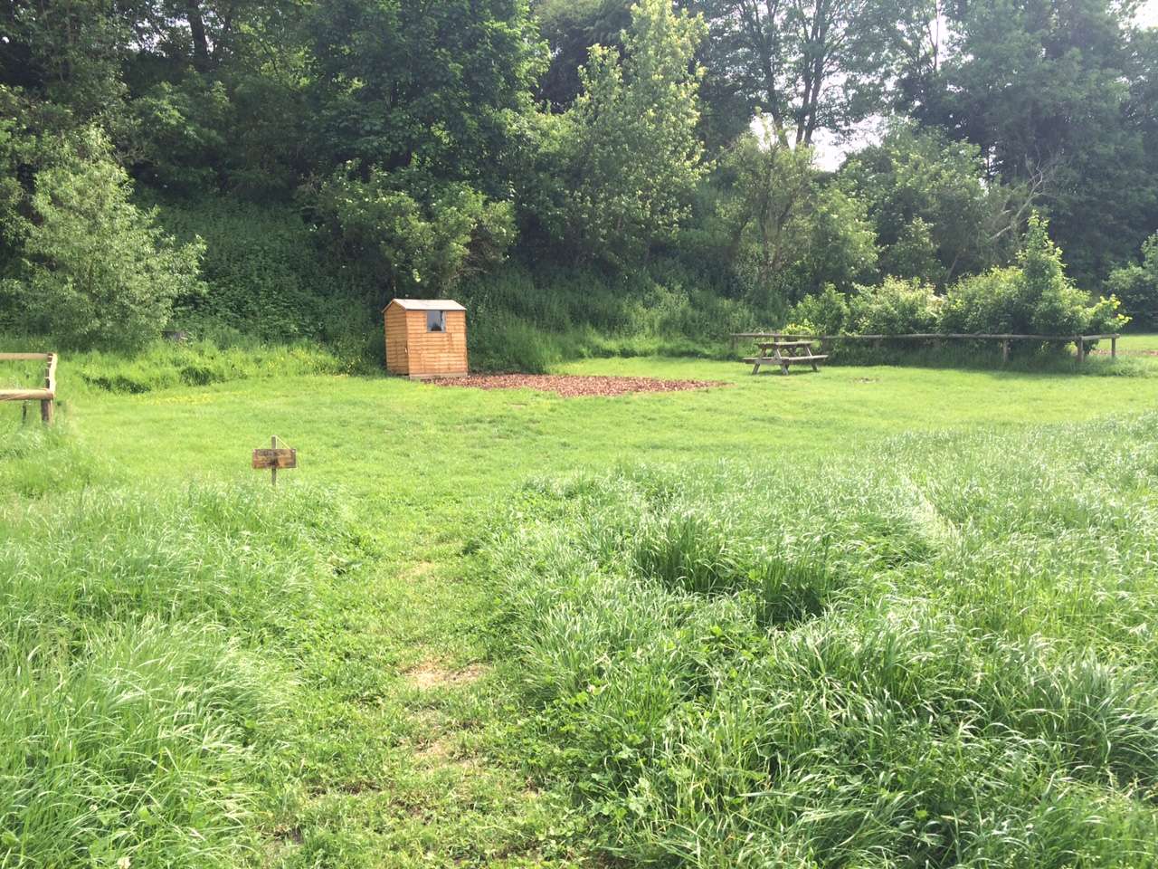 Picture of the site