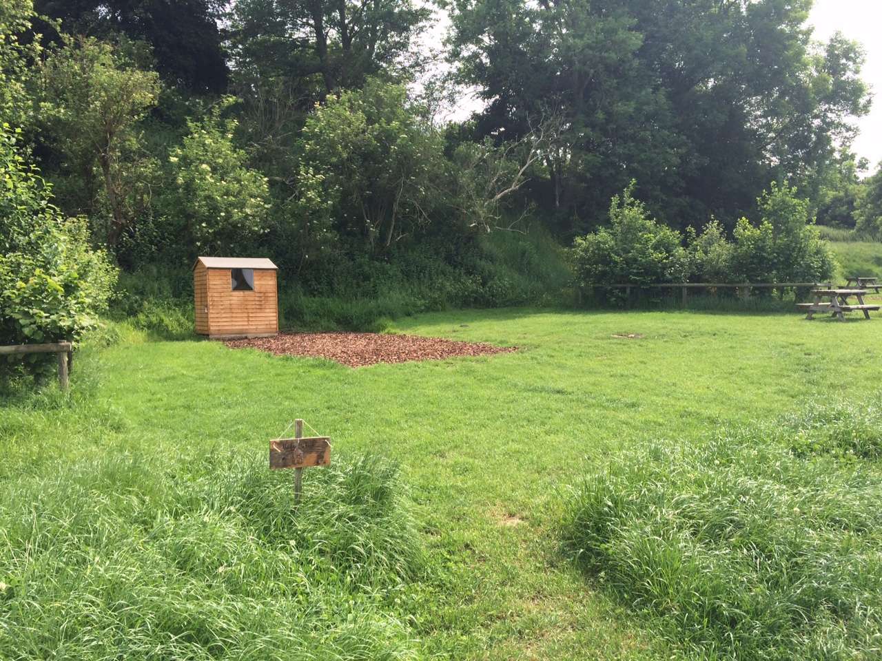 Picture of the site