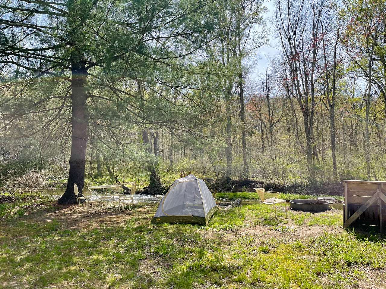 Picture of the site