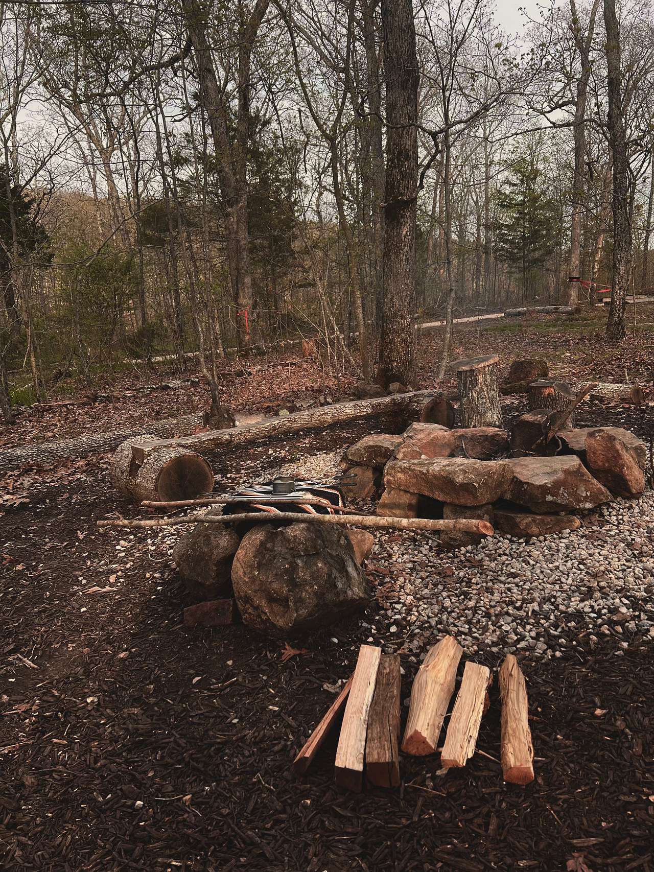 Picture of the site