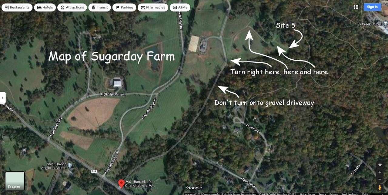 Picture of the site