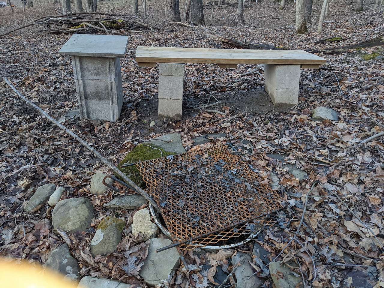Picture of the site