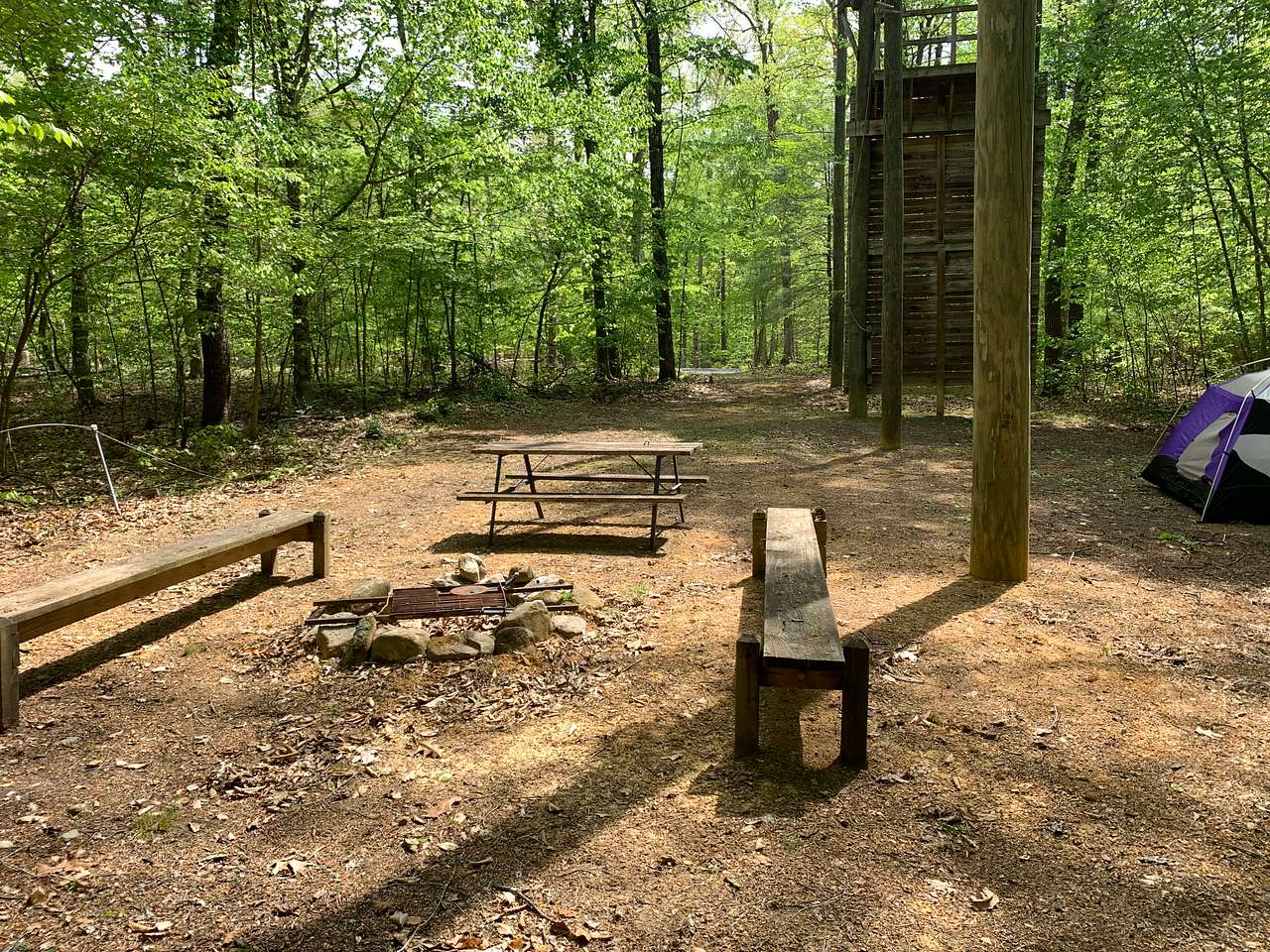 Picture of the site