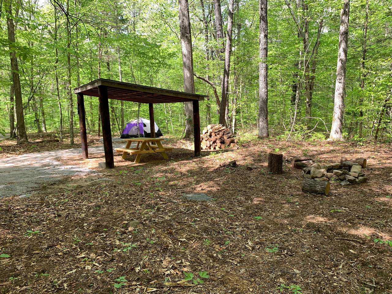 Picture of the site