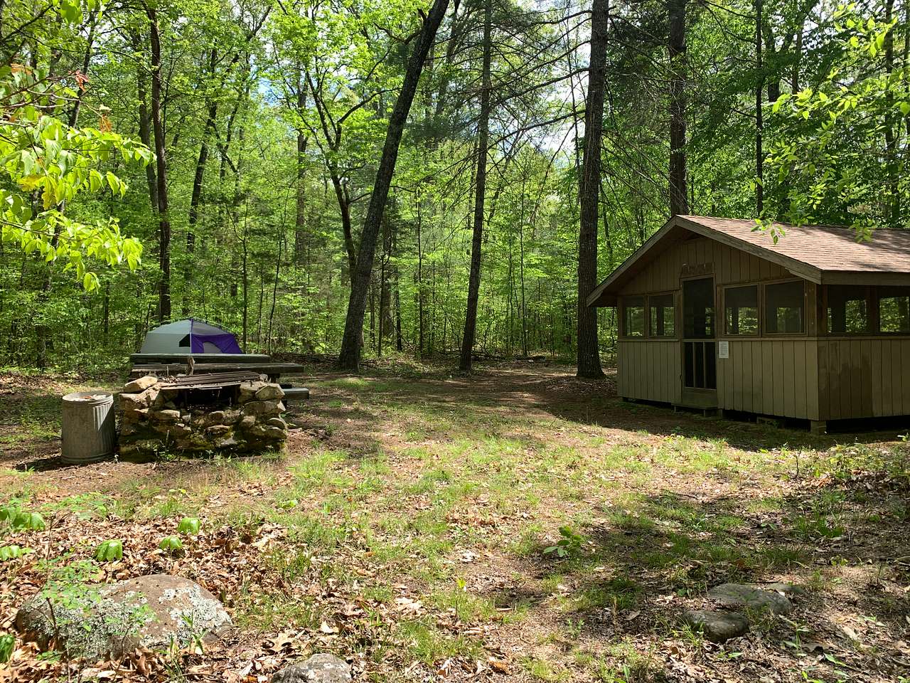 Picture of the site