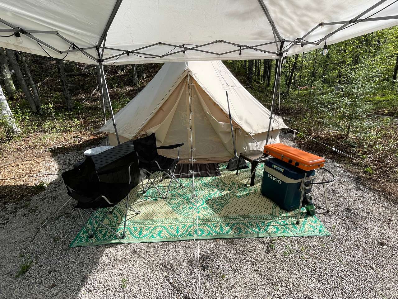 Picture of the site