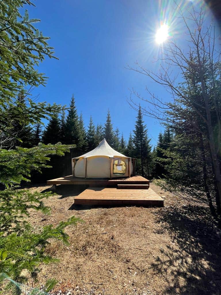 Picture of the site