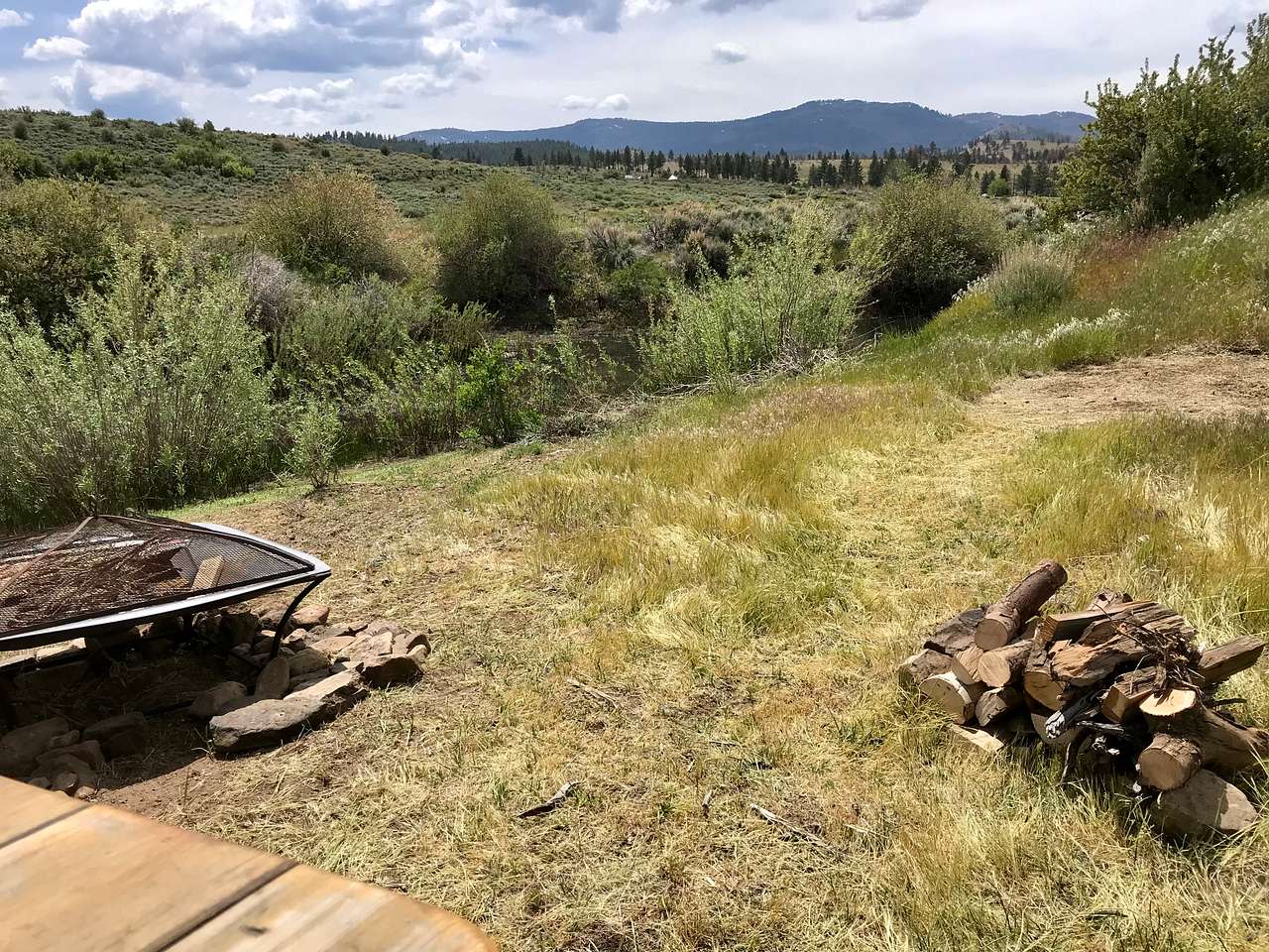 Picture of the site