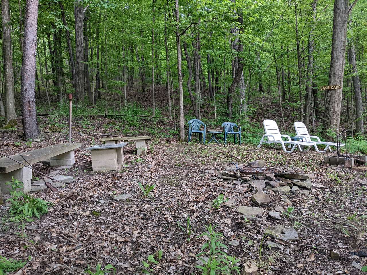 Picture of the site