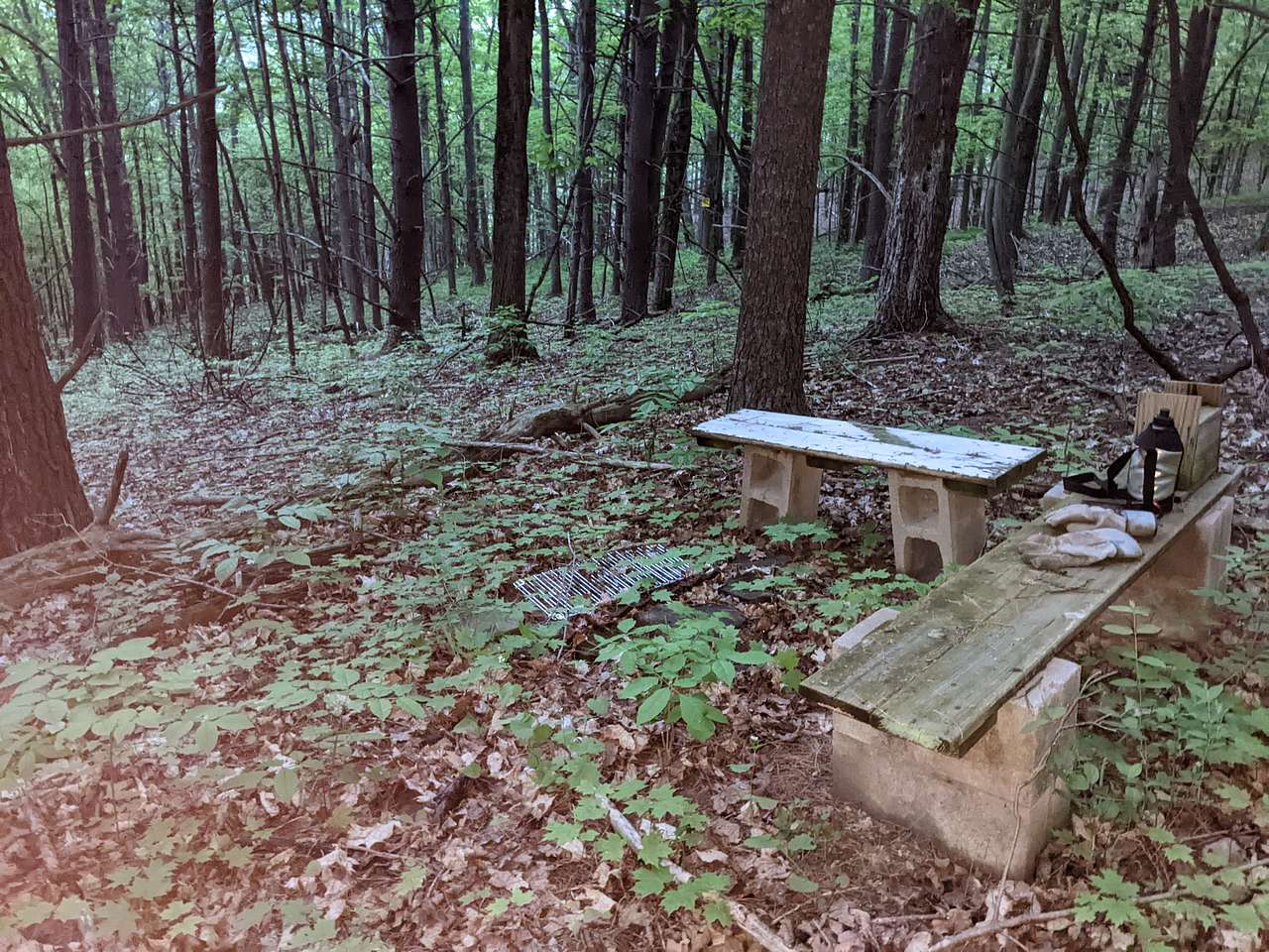 Picture of the site
