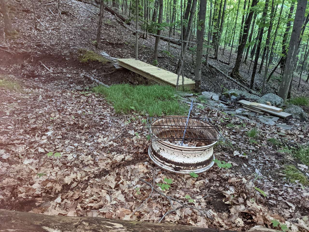 Picture of the site